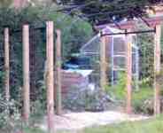 metal rose arch in horsham