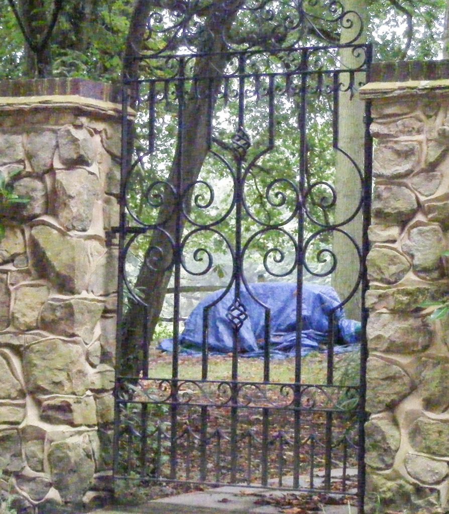 large side gate
